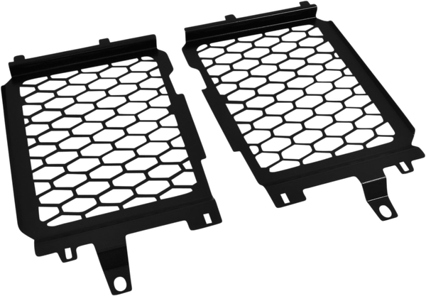 Protección de radiador RADIATOR GUARD BMW R1200GS/R1250