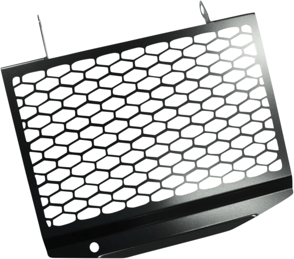 RADIATOR GUARD DL650