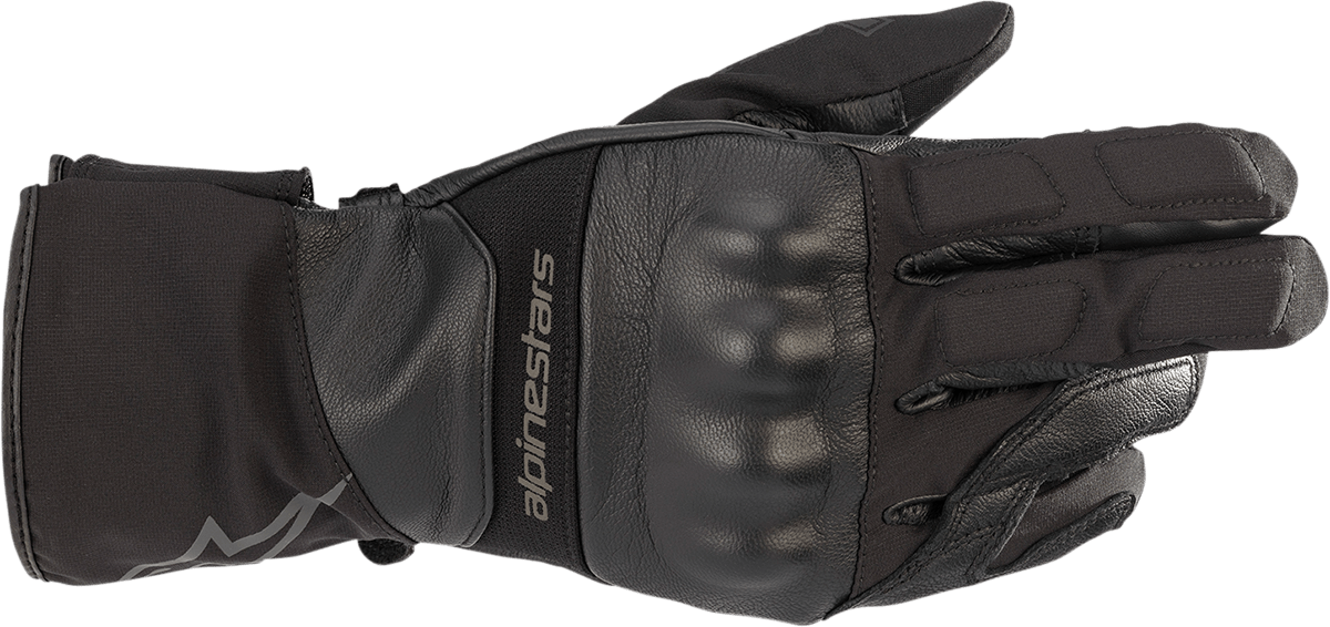 Alpinestars Range 2 Gore-Tex Gloves