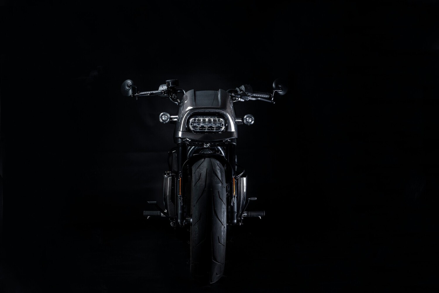 Zard Harley Davidson SPORTSTER S 1250 - PANTALLA CARBONO 21_23