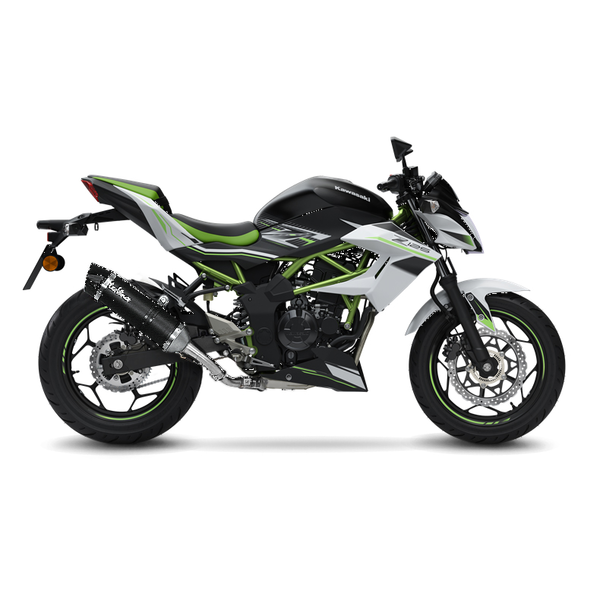 Silenciador Slip-On LV One Evo Carbon LEOVINCE
MUFFLER LV1 EVO KAWASAKI 125 HOMOLOGADO