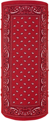 Braga de cuello Motley ZAN HEADGEAR MOTLEY TUBE