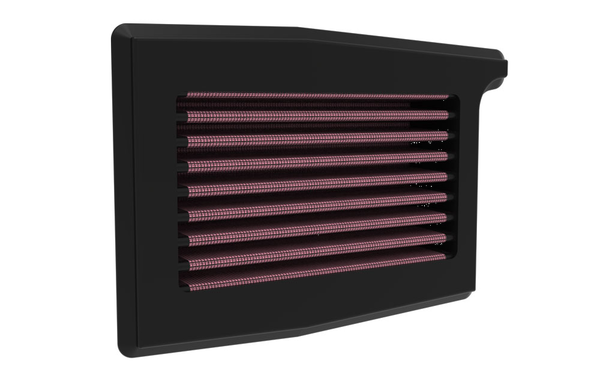 Filtro de aire K & N
AIR FIL TRIUMPH TRIDENT 660 TIGER SPORT