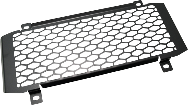Protector radiador ZIEGER
RADIATOR GUARD KAWASAKI Z650