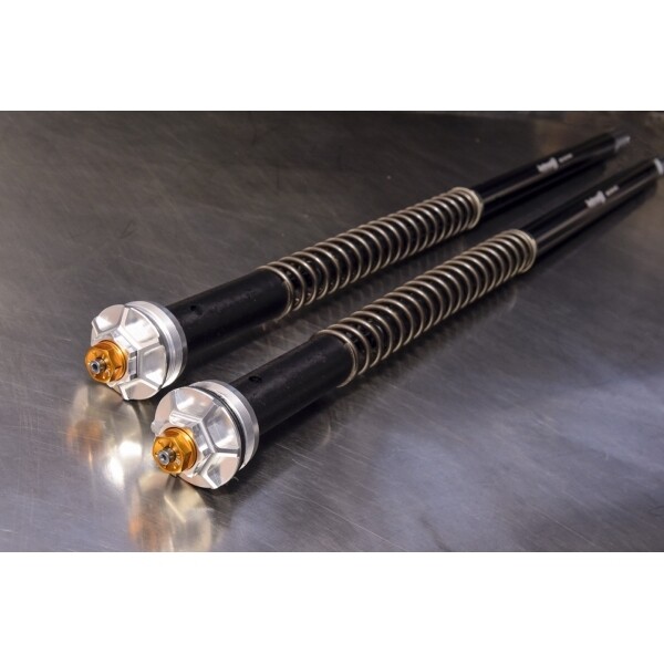 Öhlins kit cartucho regulable MISANO EVO BMW RnineT2014-