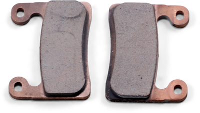 Pastillas de freno sinterizadas RDP DP BRAKES
BRAKE PAD SINTRD RDP585 X-Race Titanium
 para BMW R1250/S1000