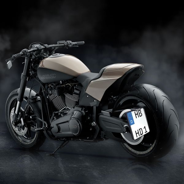 Soportes de matrícula Slip-In HEINZ BIKES para Harley Davidson Softail King 114