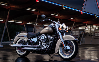 Softail