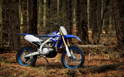 YZ / WR