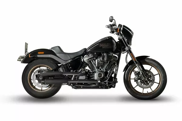 Silenciador Slip-On cónico para HD-SOFTAIL M8  ZARD SOFTAIL SLIP-ONS E4/E5 BLACK 17-24