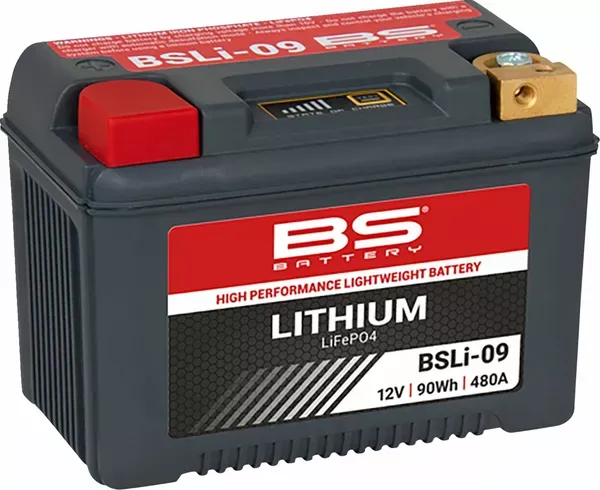 Batería de litio LiFePO4 BS BATTERY BATTERY LITHIUM BSLI-09