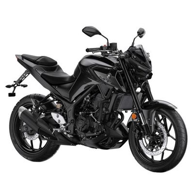 MT 03