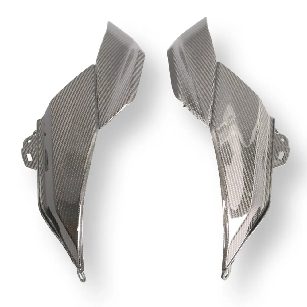 Tapas inferiores deposito en carbono BMW R1300GS 2024-