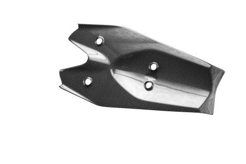 Arco de rueda Carbono por Triumph Speed Triple 1200 RS / RR 2021-
