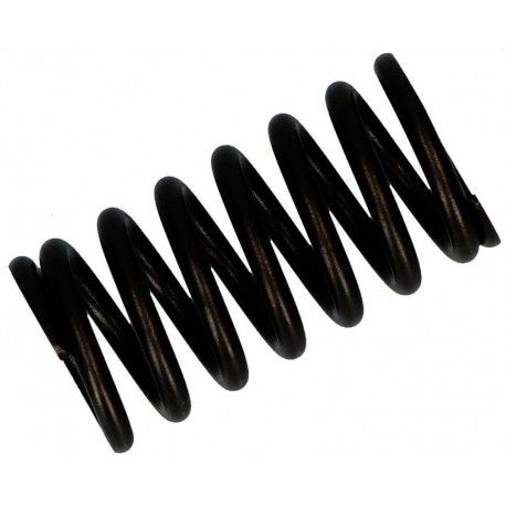 Muelle de embrague en aceite Ducati OEM 79710531A