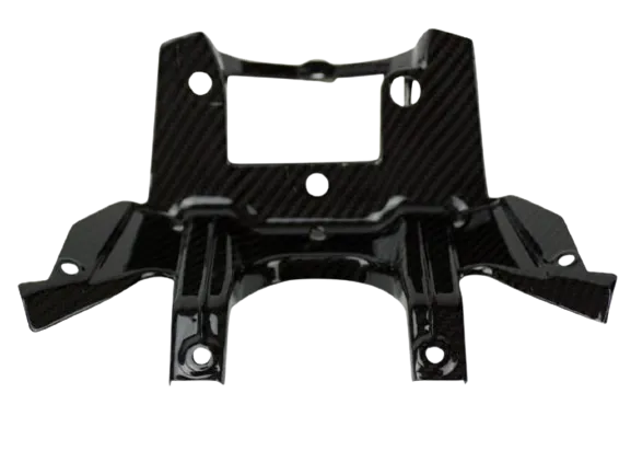 Araña en carbono BMW S1000R 2014-2016