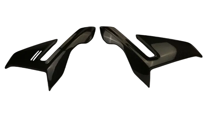 Paneles laterales carbono BMW S1000R 2021-