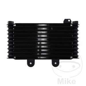 Radiador de agua para Suzuki GSF 600 / GSF 650