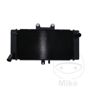 Radiador de agua para Suzuki GSF650 Bandit