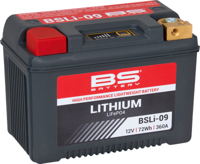 Batería de litio BS BATTERY
BATTERY LITHIUM BSLI09
