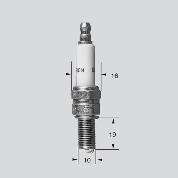 CHAMPION S-PLUG HD RG6HCC