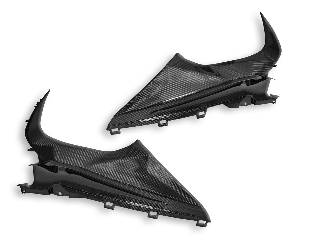 DUCABIKE CRB113L - PANEL DE INVIERNO DE CARBONO BRILLANTE BMW S1000RR