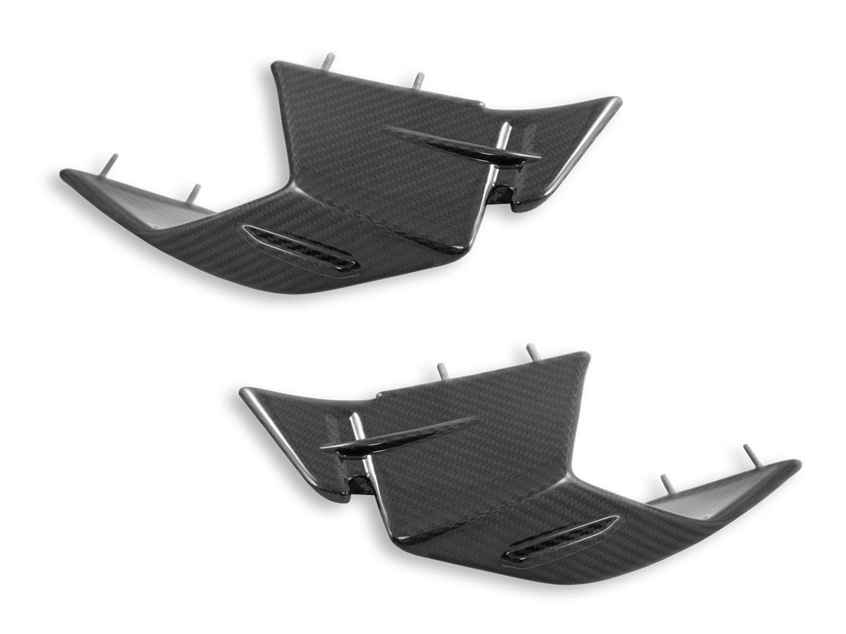 DUCABIKE CRB142L - ALETINES DE CARBONO BRILLANTES PARA BMW S1000RR MY23