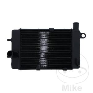 Radiador de agua para Aprilia RST 1000/ RSV 1000/ TUONO / SL