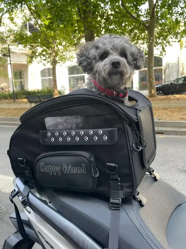 Mochila para mascotas OJ ATMOSFERE METROPOLITANE s.r SEAT BAG PET 30L BLACK