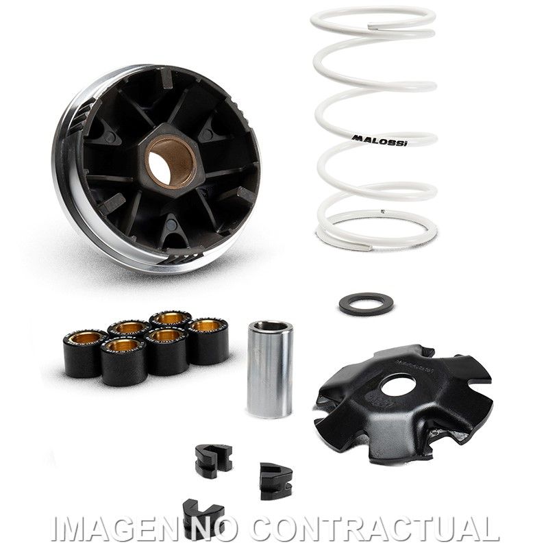 VARIADOR MULTIVAR MALOSSI ZONTES 125D 4T E5+