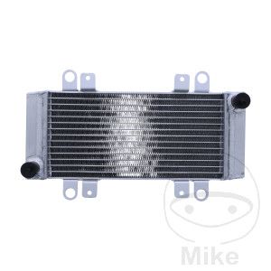 Radiador de agua para Kawasaki Ninja 300