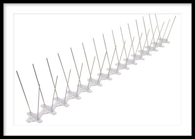 Bird Spikes 2 3/4 Inch. 2 Feet Long New 50 Feet Only Bird Spikes 2 3/4 Inch. 2 Feet Long New 50 Feet Only