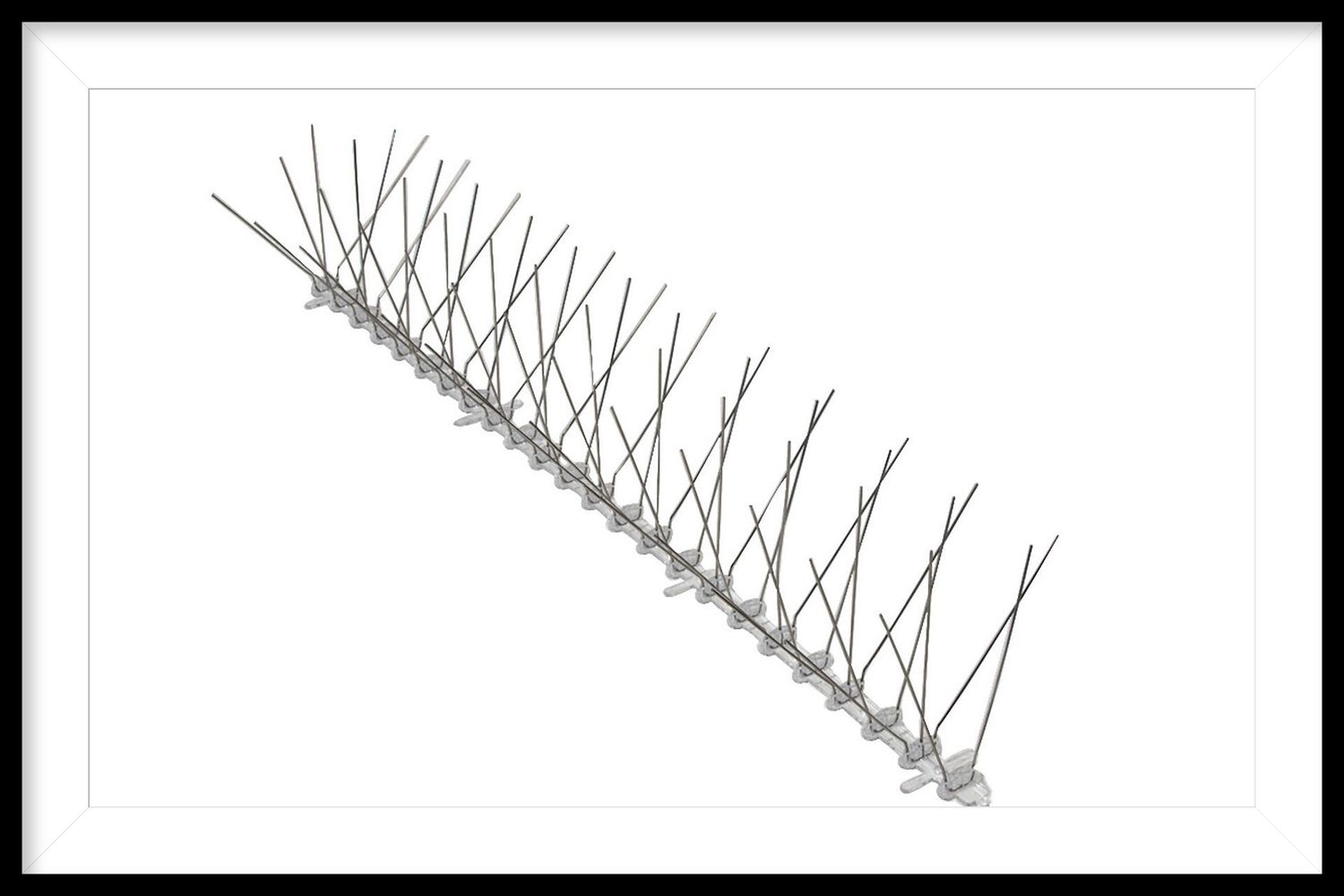 Bird Spikes 5.6 Inch    50 Feet Per B0x