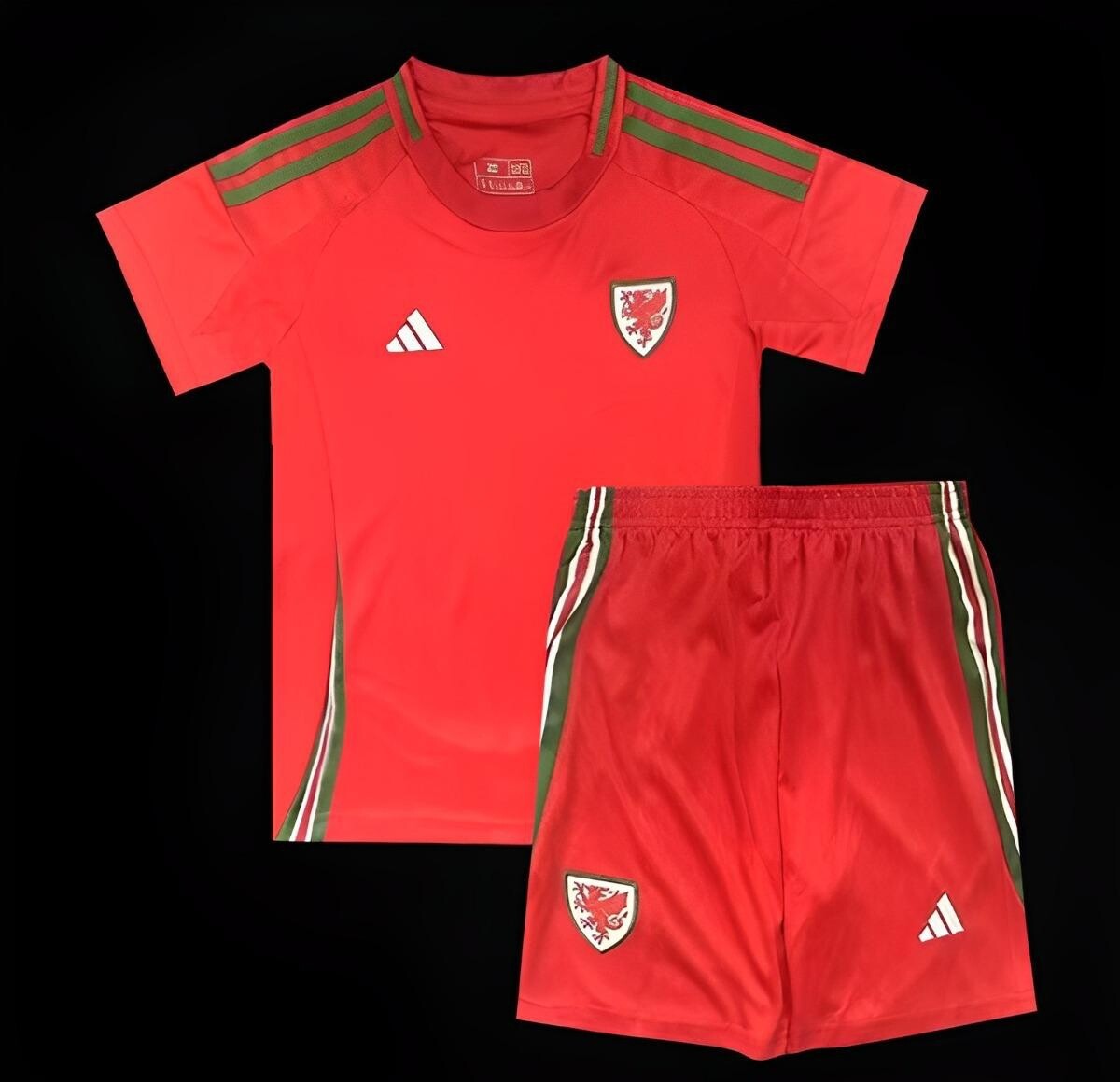 Wales Home Kids Kit