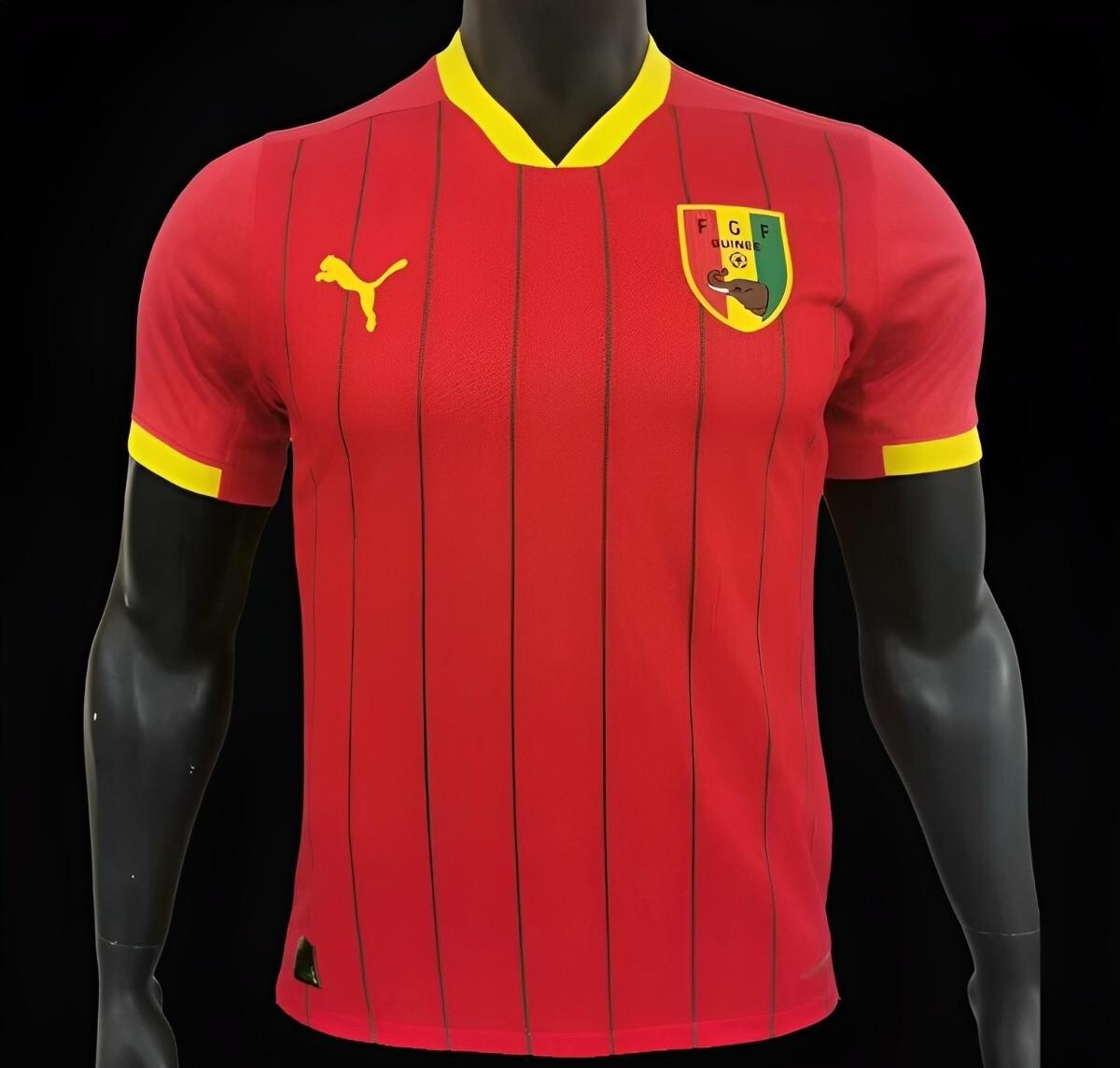 Guinea Home Jersey