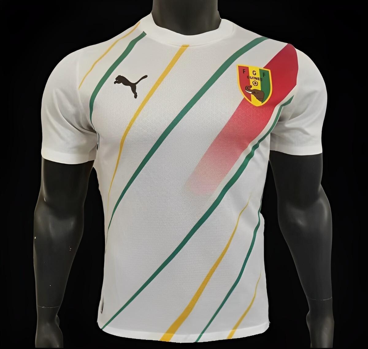 Guinea Away Jersey