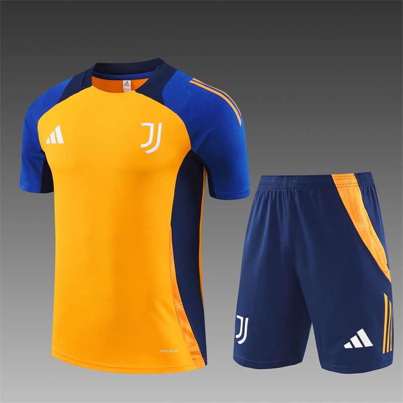 Juventus Mustard and Blue Training Set