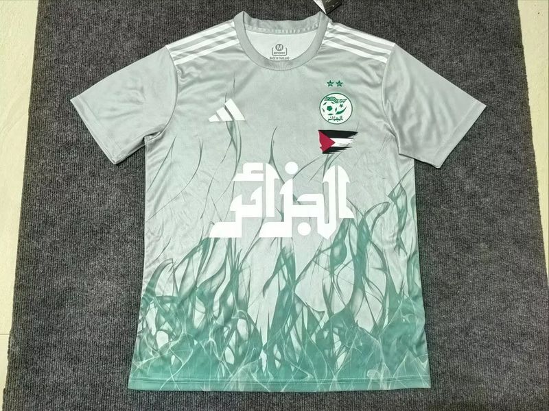 Algeria Mint Green Special Stadium Jersey Algeria Mint Green Special Stadium Jersey