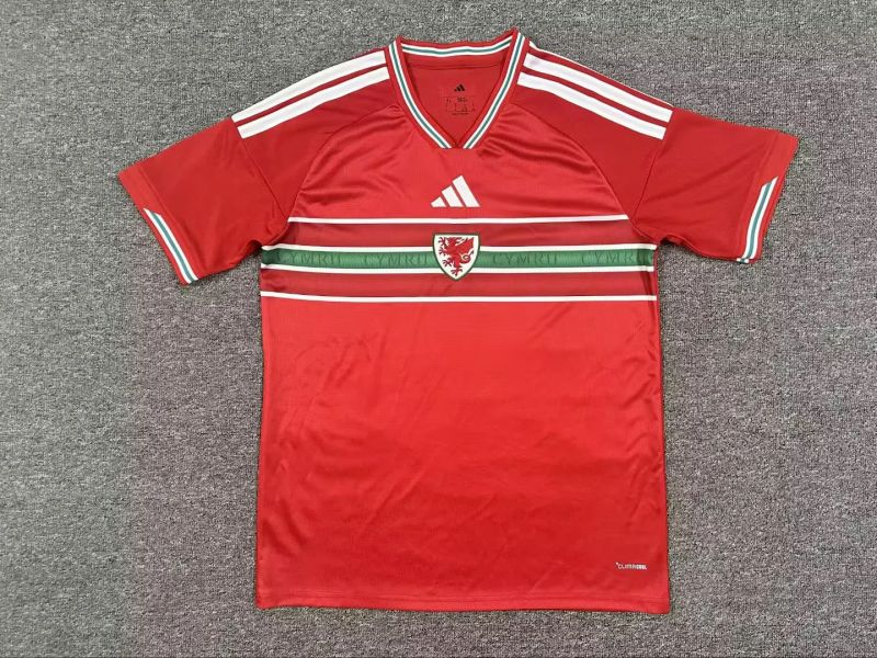 Wales Home Stadium Jersey Wales Home Stadium Jersey