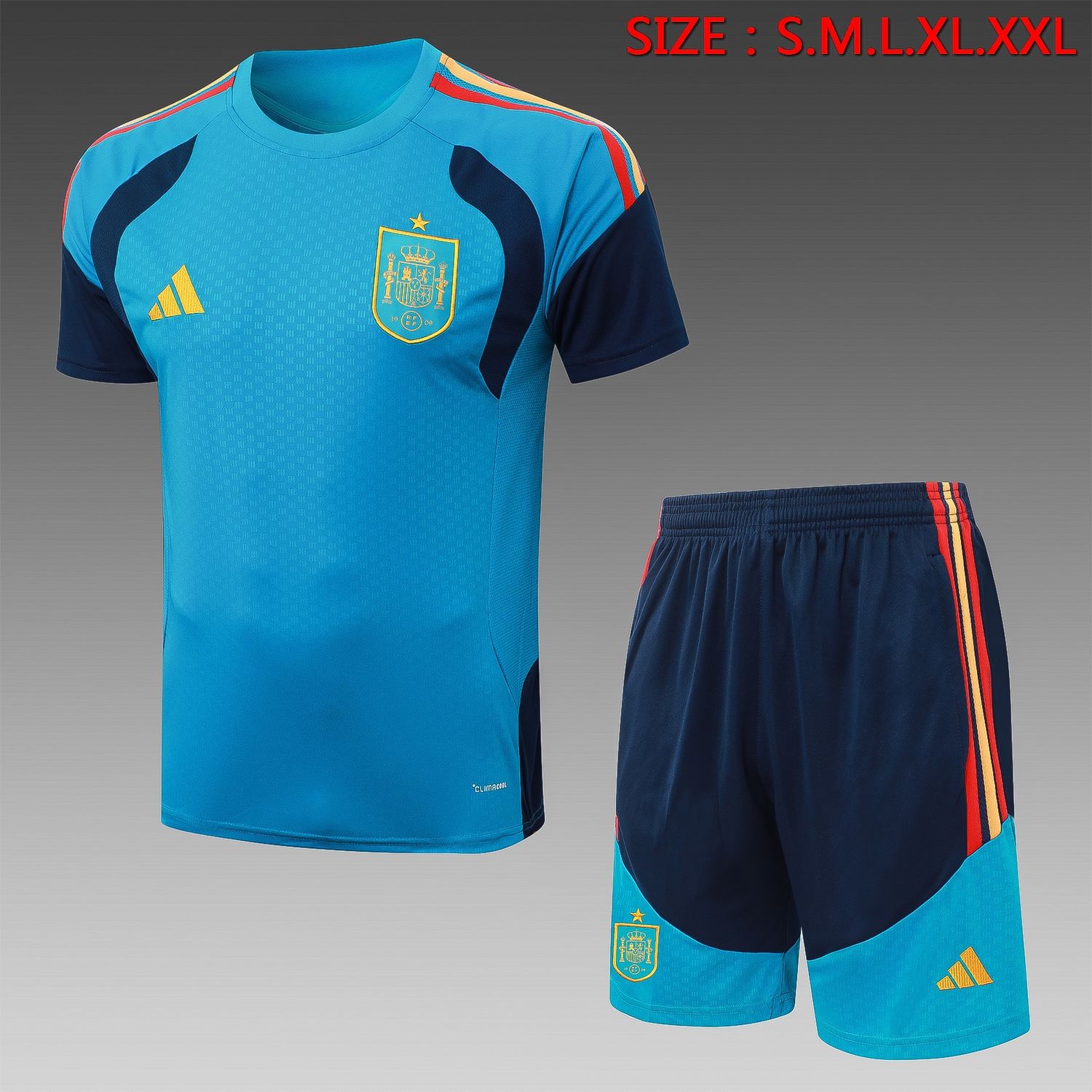 Spain Blue and Navy Short Sleeve Training Set