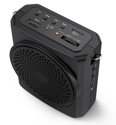 ALDS 16Watts MiniBuddy