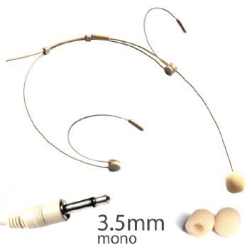 Dual Ear Hook Microphone