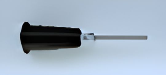 Black Needle