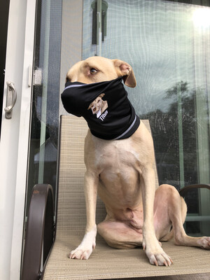 Titus gaiters