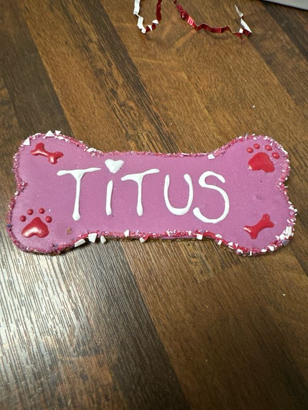 Personalized Valentines Bone Personalized Valentines Bone