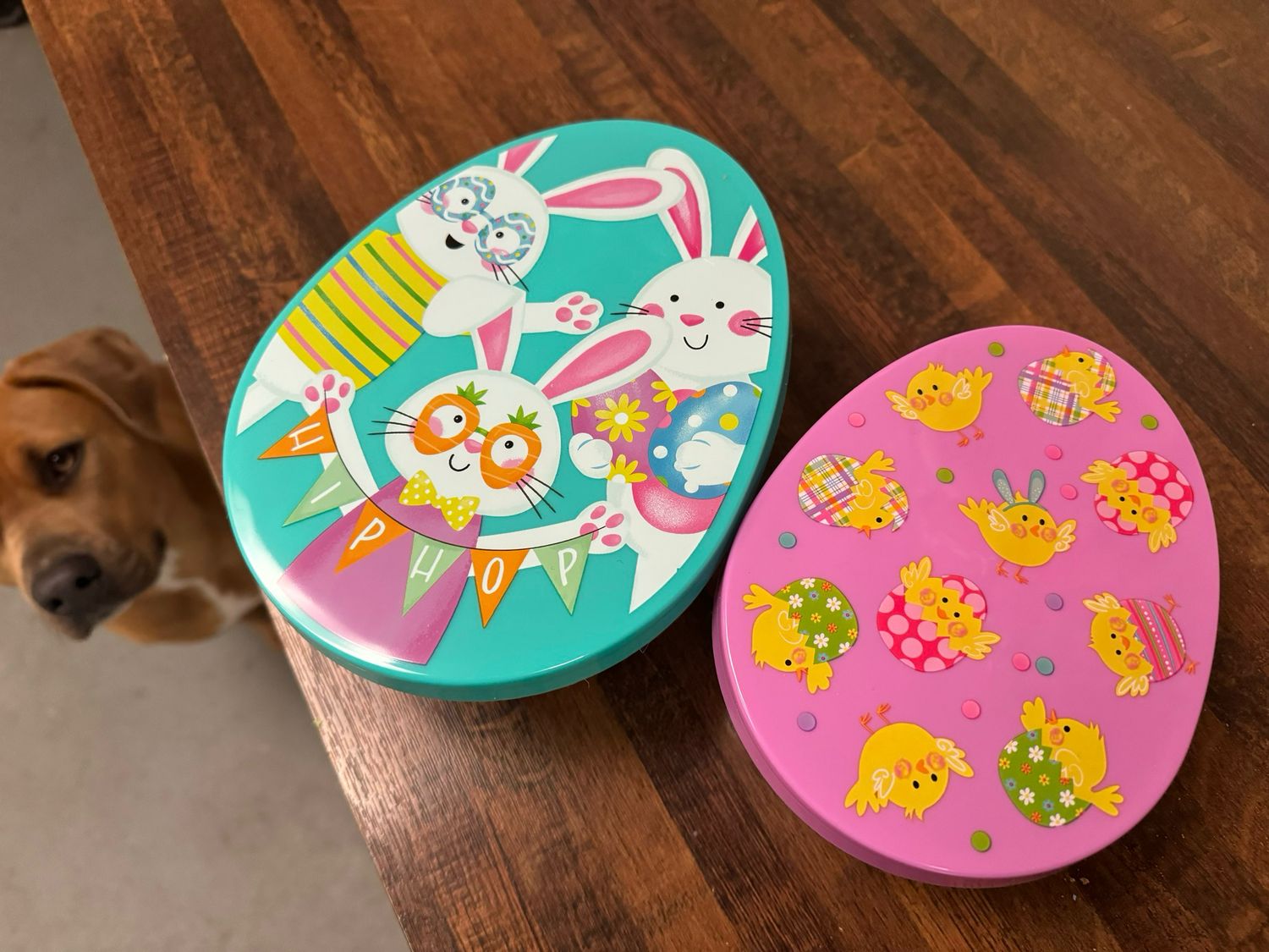 10 oz Treats in Plastic Egg Shaped container
