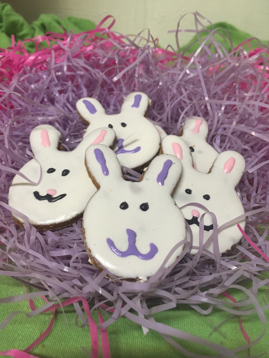 Bunny 🐰 Treats