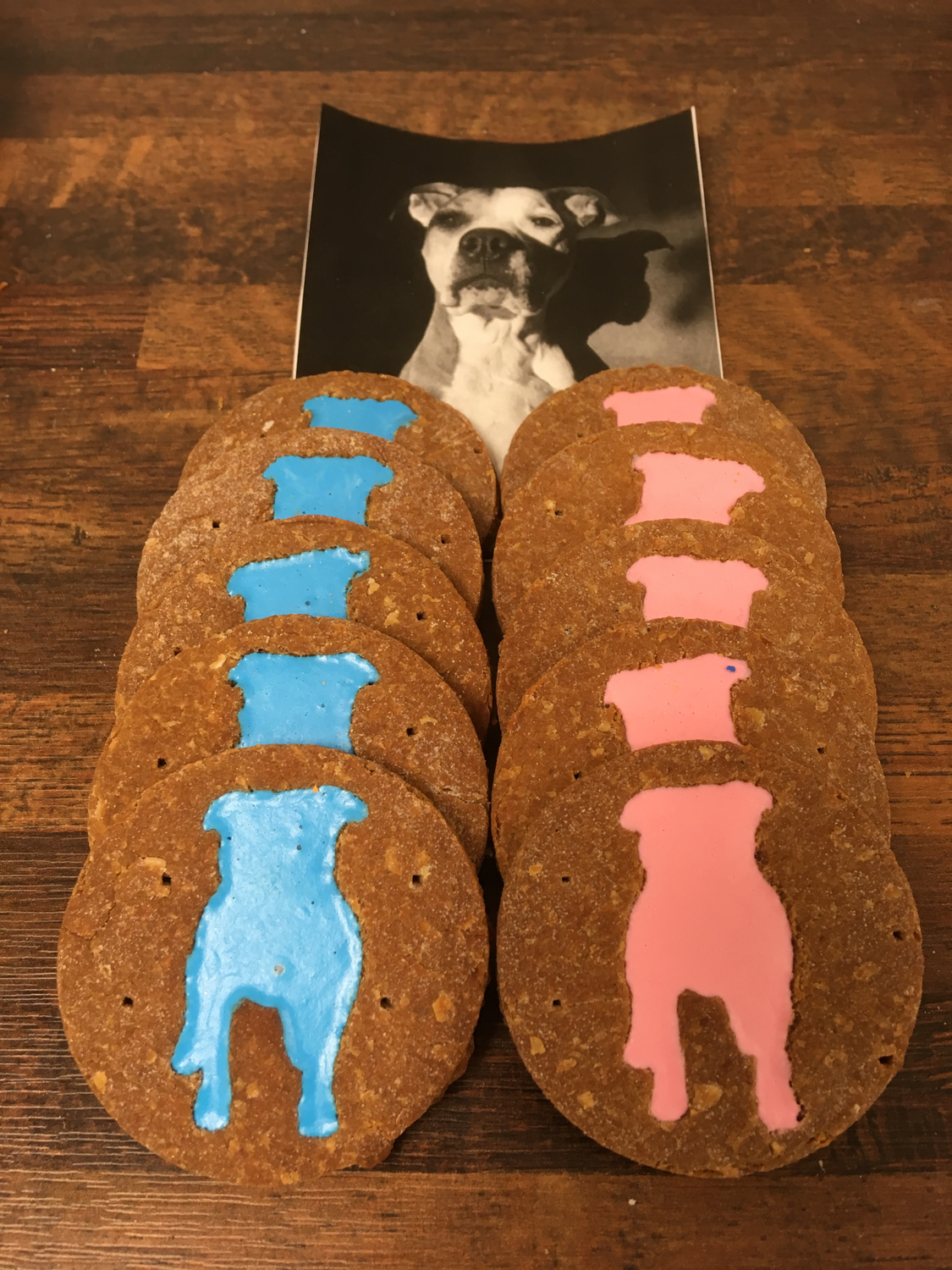 Pit Bull Treats
