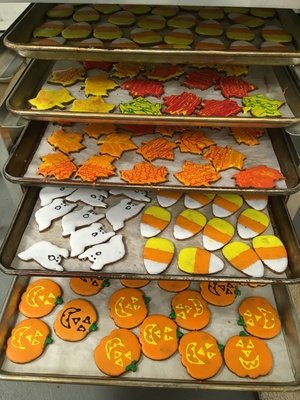 HALLOWEEN/HARVEST