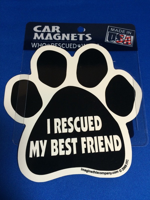 I Rescued My Best Friend
